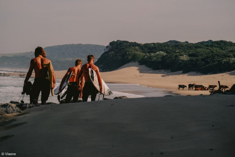 surf exploring